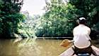 56-jungle, balade aux chutes.JPG